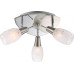 Спот Florita 54984-3 Globo