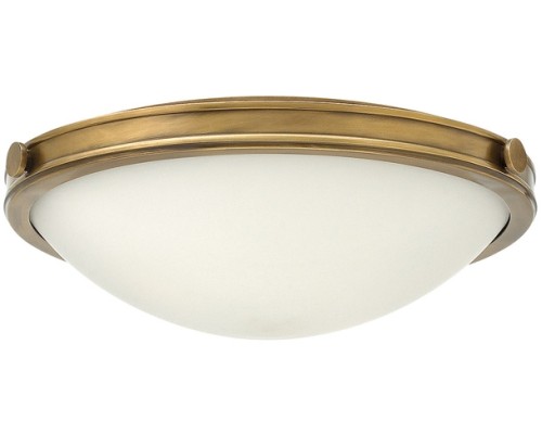 Потолочный светильник Collier HK-COLLIER-F-M Hinkley Потолочный светильник Collier HK-COLLIER-F-M Hinkley