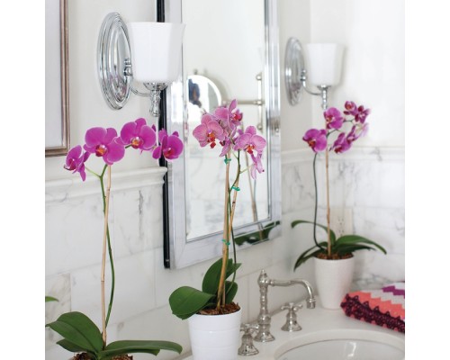 Бра Shelly HK-SHELLY1-BATH Hinkley Бра Shelly HK-SHELLY1-BATH Hinkley