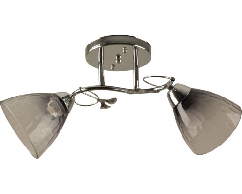 Потолочная люстра Rosa H197-2 Hiper