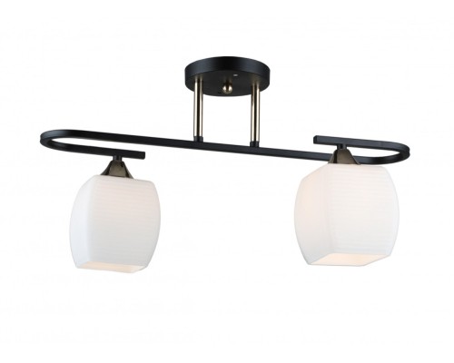 Потолочная люстра MD.5485-2-S-BK+FGD Imex Потолочная люстра MD.5485-2-S-BK+FGD Imex