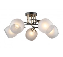 Потолочная люстра  MD.5996-5-S-COFFEE+FGD Imex