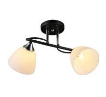 Потолочная люстра MD.2980-2-S BK+CH Imex