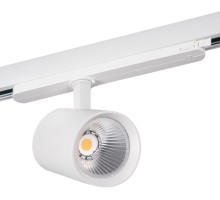 Трековый светильник ACORD 33136 Kanlux