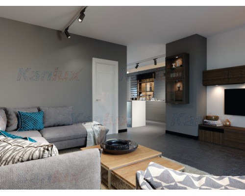 Трековый светильник ACORD 33137 Kanlux