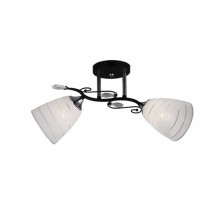 Потолочная люстра Larkin 640/2 Lampex