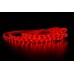 Светодиодная лента LC-3528-W-12R60 Ledcraft