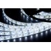 Светодиодная лента LC-3528-W-12W60 Ledcraft