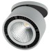 Спот FORTE INCA 213829 Lightstar