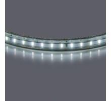 Светодиодная лента 402034 Lightstar