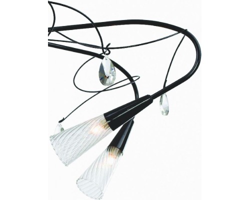 Потолочная люстра AEREO 711067 Lightstar Потолочная люстра AEREO 711067 Lightstar