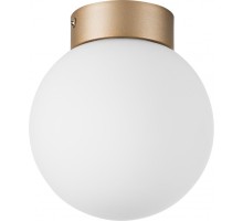 Потолочный светильник Globo 812013 Lightstar