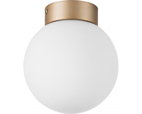 Потолочный светильник Globo 812013 Lightstar Потолочный светильник Globo 812013 Lightstar