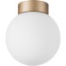 Потолочный светильник Globo 812013 Lightstar
