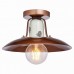 Потолочная люстра Vermilion GRLSP-8162 Loft