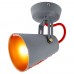 Спот Bethel LSP-8020 Loft