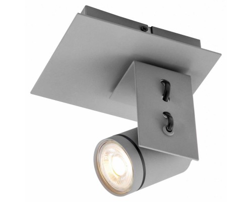 Спот Dillingham LSP-8022 Loft Спот Dillingham LSP-8022 Loft