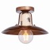 Потолочная люстра Vermilion LSP-8161 Loft
