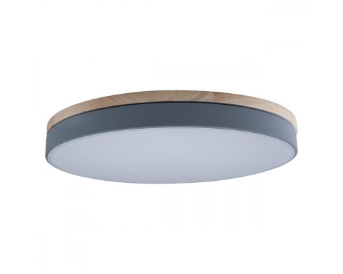 Потолочный светильник Axel 10001/36 Grey Loft It Потолочный светильник Axel 10001/36 Grey Loft It
