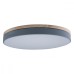 Потолочный светильник Axel 10001/36 Grey Loft It