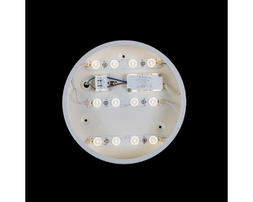 Потолочный светильник Axel 10002/12 White Loft It Потолочный светильник Axel 10002/12 White Loft It
