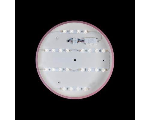 Потолочный светильник Axel 10002/24 Pink Loft It Потолочный светильник Axel 10002/24 Pink Loft It