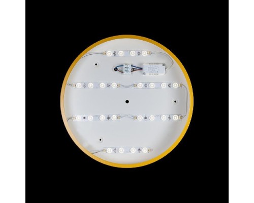 Потолочный светильник Axel 10002/24 Yellow Loft It Потолочный светильник Axel 10002/24 Yellow Loft It