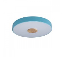 Потолочный светильник Axel 10003/24 Blue Loft It