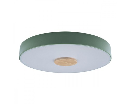 Потолочный светильник Axel 10003/24 Green Loft It Потолочный светильник Axel 10003/24 Green Loft It