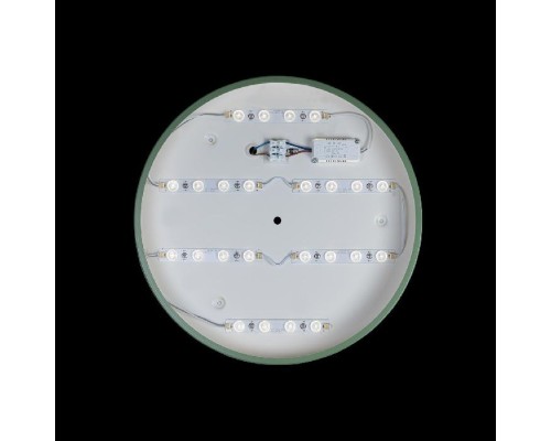 Потолочный светильник Axel 10003/24 Green Loft It Потолочный светильник Axel 10003/24 Green Loft It