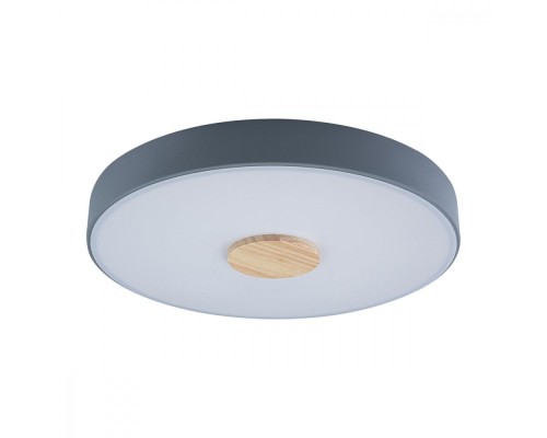 Потолочный светильник Axel 10003/24 Grey Loft It Потолочный светильник Axel 10003/24 Grey Loft It