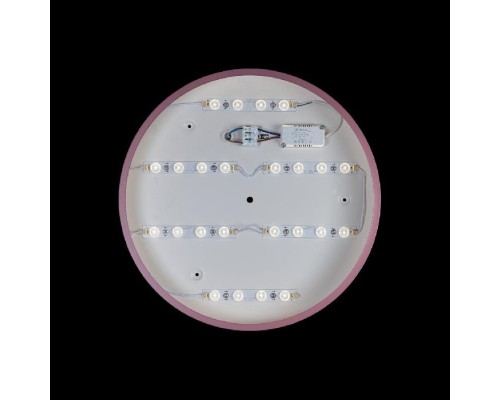 Потолочный светильник Axel 10003/24 Pink Loft It Потолочный светильник Axel 10003/24 Pink Loft It