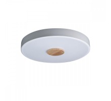 Потолочный светильник Axel 10003/24 White Loft It