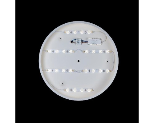 Потолочный светильник Axel 10003/24 White Loft It Потолочный светильник Axel 10003/24 White Loft It