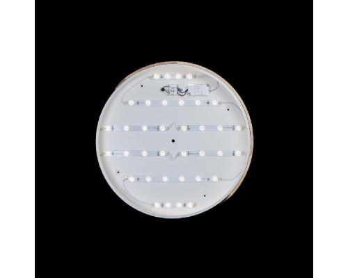 Потолочный светильник Axel 10004/36 White Loft It Потолочный светильник Axel 10004/36 White Loft It