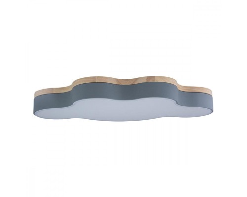 Потолочный светильник Axel 10005/36 Grey Loft It Потолочный светильник Axel 10005/36 Grey Loft It
