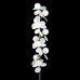 Торшер Matisse 10008F white Loft It