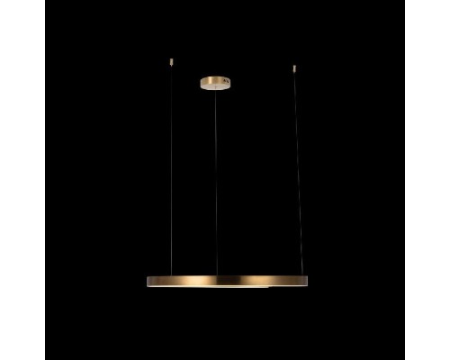 Подвесной светильник Ring 10013L Loft It Подвесной светильник Ring 10013L Loft It