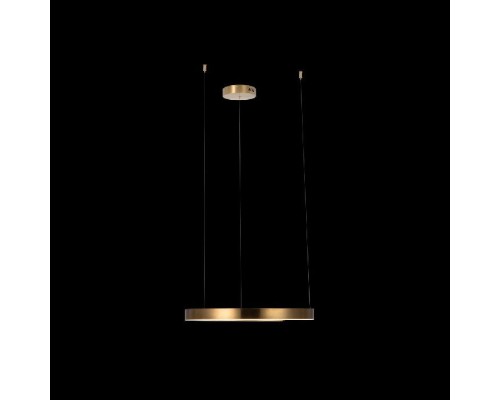 Подвесной светильник Ring 10013M Loft It Подвесной светильник Ring 10013M Loft It