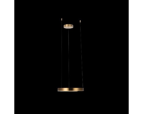 Подвесной светильник Ring 10013S Loft It Подвесной светильник Ring 10013S Loft It