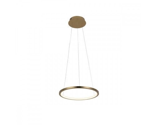 Подвесной светильник Ring 10014S Loft It Подвесной светильник Ring 10014S Loft It