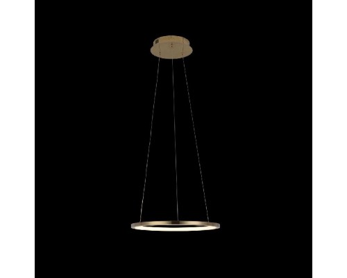 Подвесной светильник Ring 10014S Loft It Подвесной светильник Ring 10014S Loft It