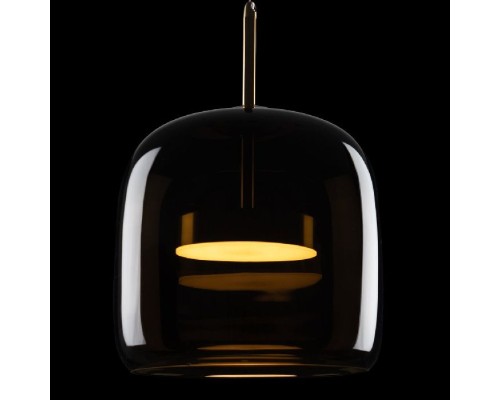 Подвесной светильник Dauphin 10040A Loft It Подвесной светильник Dauphin 10040A Loft It