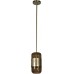 Потолочная люстра Hudson 10098P Loft It