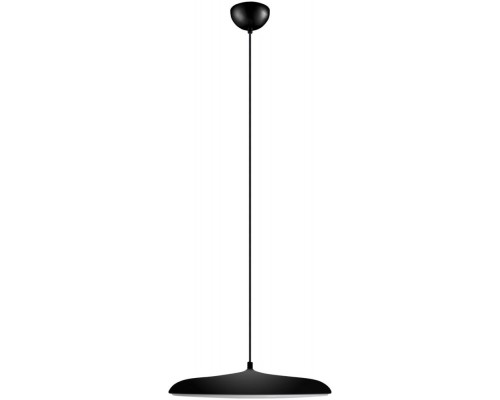 Подвесной светильник Plato 10119 Black Loft It Подвесной светильник Plato 10119 Black Loft It