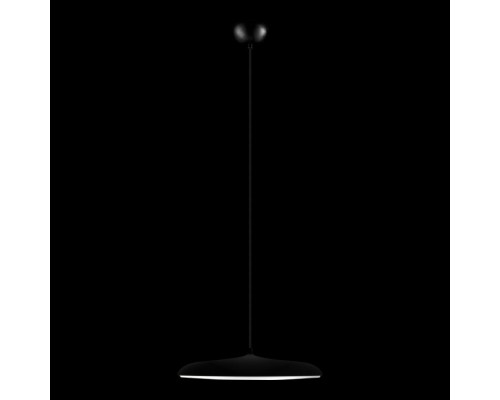 Подвесной светильник Plato 10119 Black Loft It Подвесной светильник Plato 10119 Black Loft It