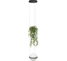 Подвесной светильник Jardin 10121/1P Dark grey Loft It