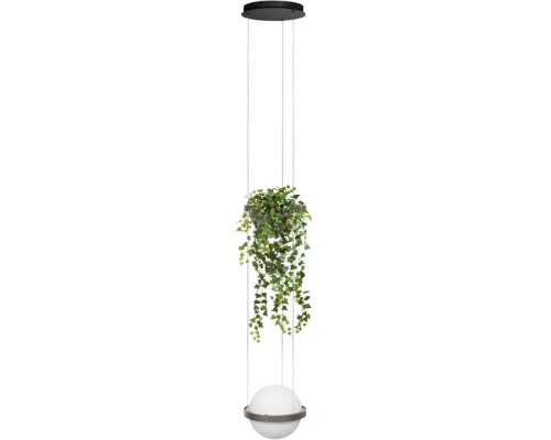 Подвесной светильник Jardin 10121/1P Dark grey Loft It Подвесной светильник Jardin 10121/1P Dark grey Loft It