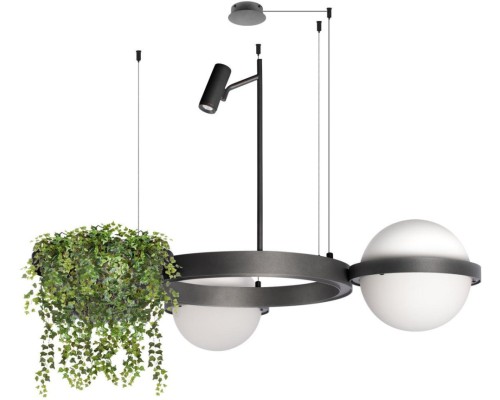 Подвесной светильник Jardin 10121/2 Dark grey Loft It Подвесной светильник Jardin 10121/2 Dark grey Loft It