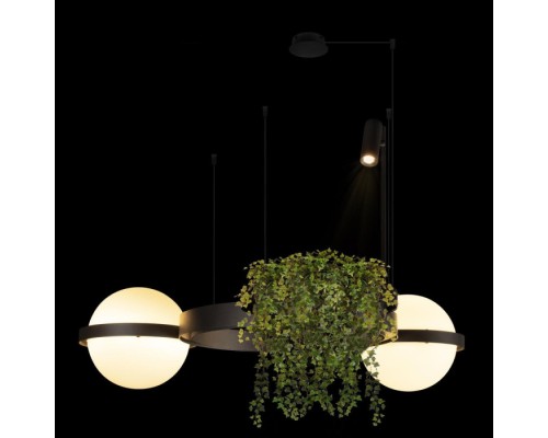 Подвесной светильник Jardin 10121/2 Dark grey Loft It Подвесной светильник Jardin 10121/2 Dark grey Loft It